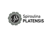 ΠΕΡΙΣΣΟΤΕΡΑ ΑΠΟ ΤΗΝ PLATENSIS