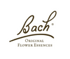 MORE FROM BACH